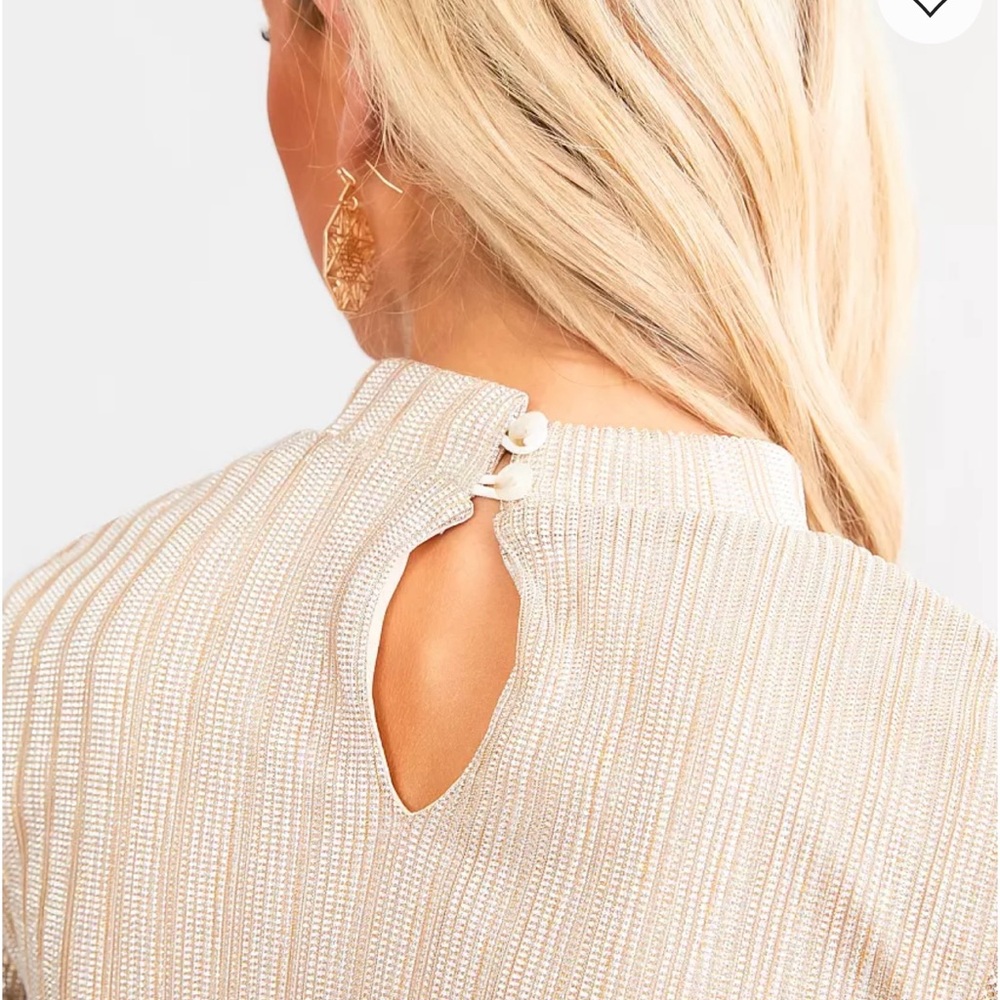 Metallic Ribbed Mesh Cropped Top - Picture 4 of 5